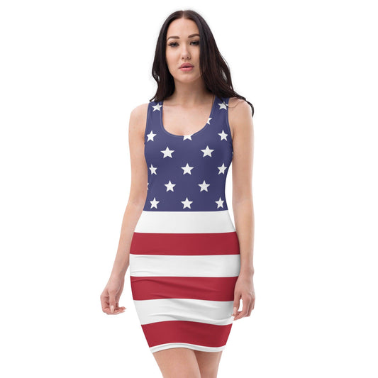 American Flag Cut & Sew Dress